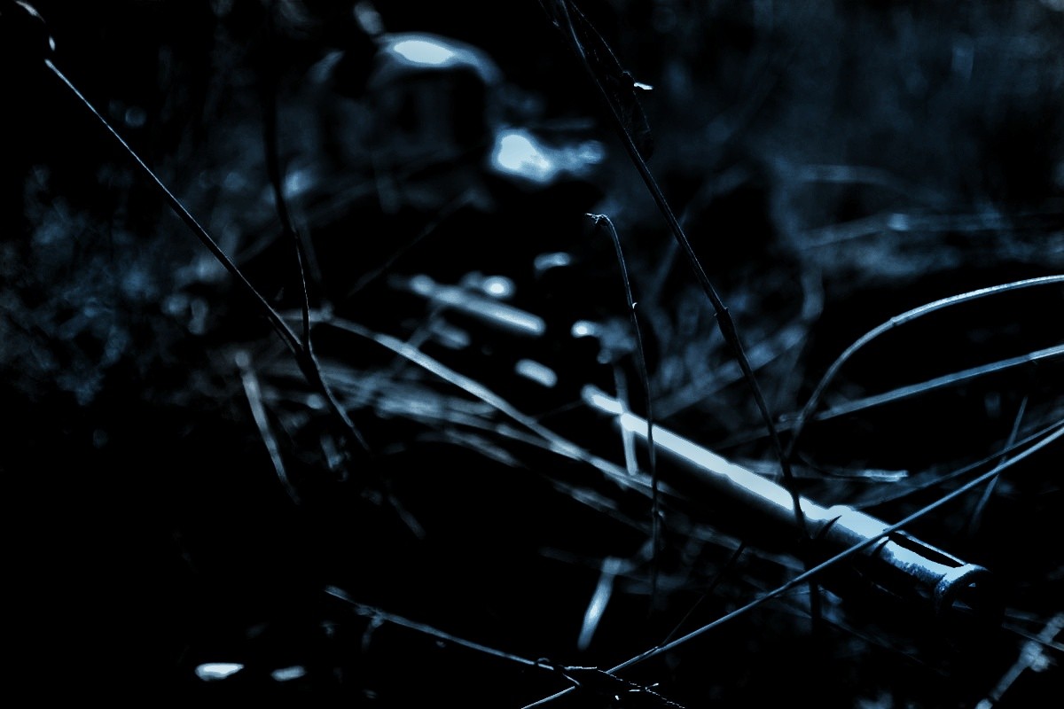 পর্ব ১৪: অরণ‍্যকথা