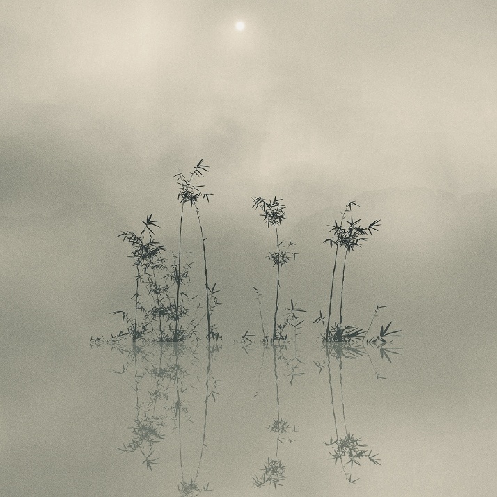 পর্ব ২১: অরুন্ধতী